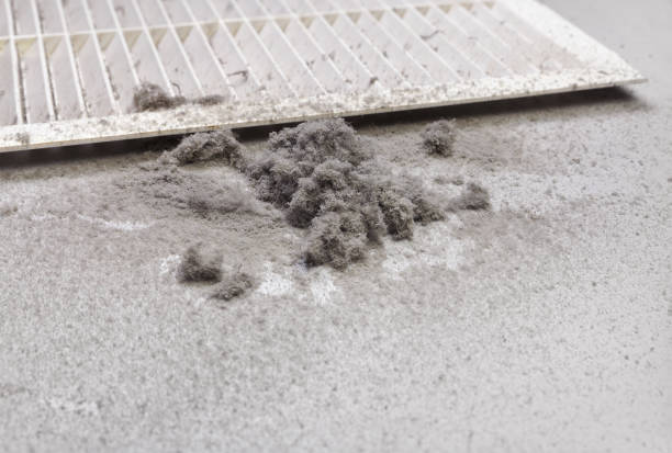 Best Emergency Air Duct Cleaning  in Bridgeport, IL