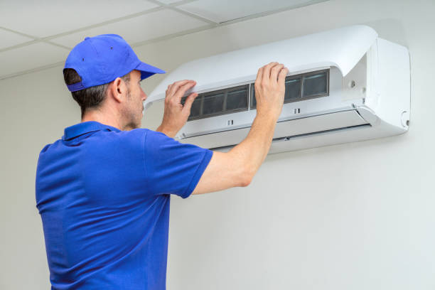 Best Home Air Vent Cleaning  in Bridgeport, IL