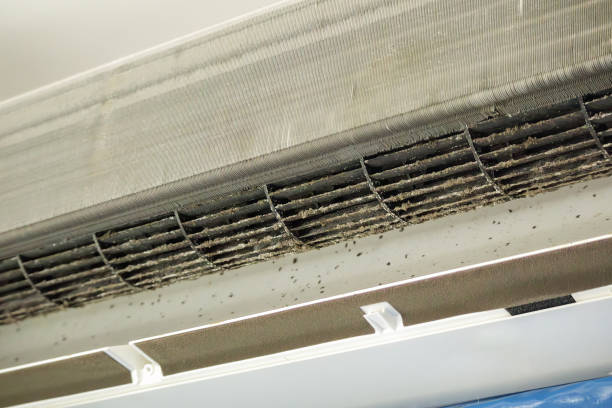 Best Affordable Air Duct Cleaning  in Bridgeport, IL